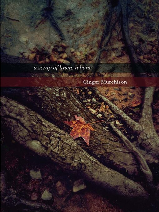 Title details for a scrap of linen, a bone by Ginger Murchison - Available